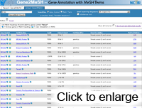 Gene2MeSH Screen Shot
