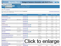 Metab2MeSH Screen Shot