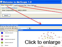 MetScape Screen Shot