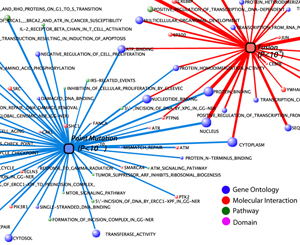 Gene Fusion Chart